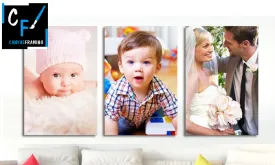 1 x A2 Canvas Print
