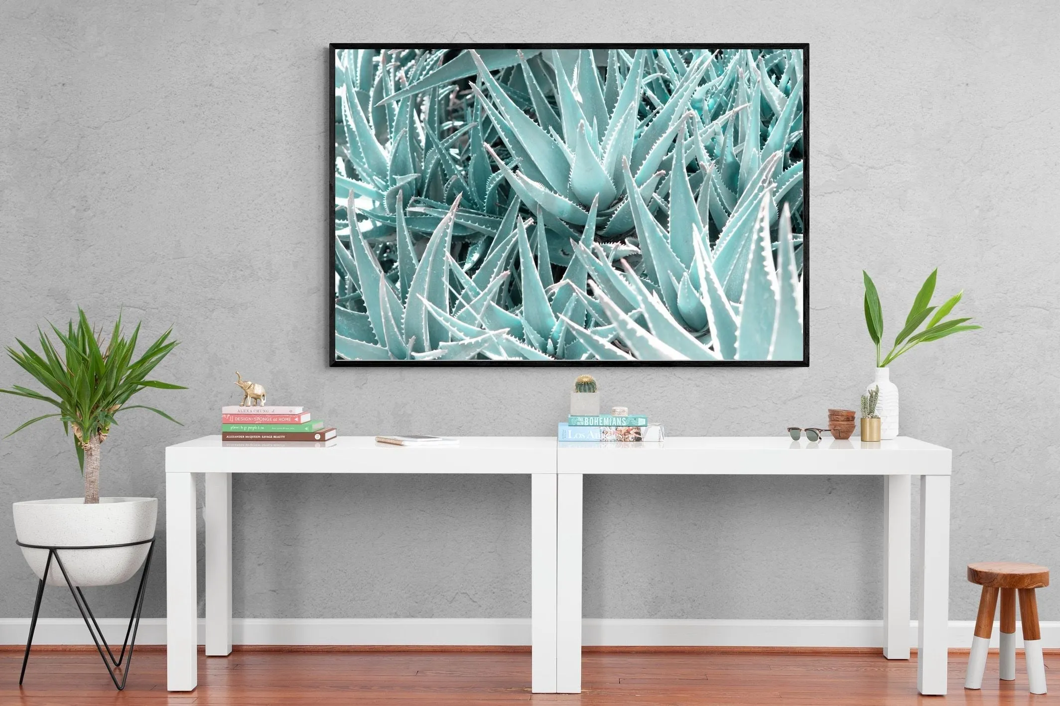 Aloe Vera Macro