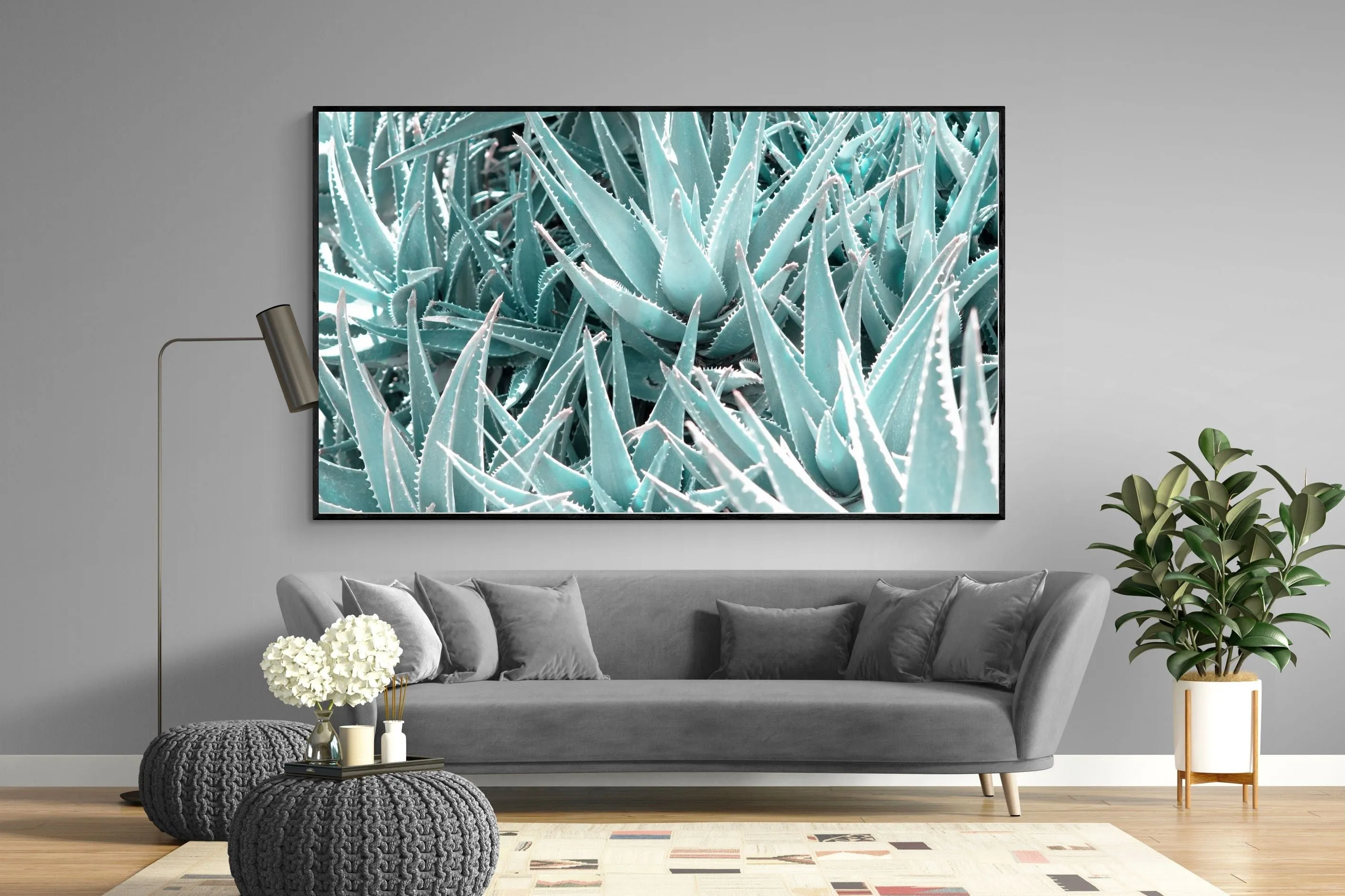Aloe Vera Macro