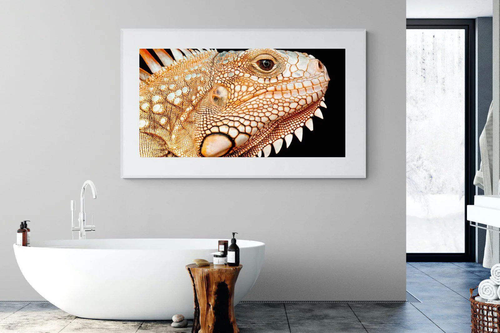 Bearded Dragon