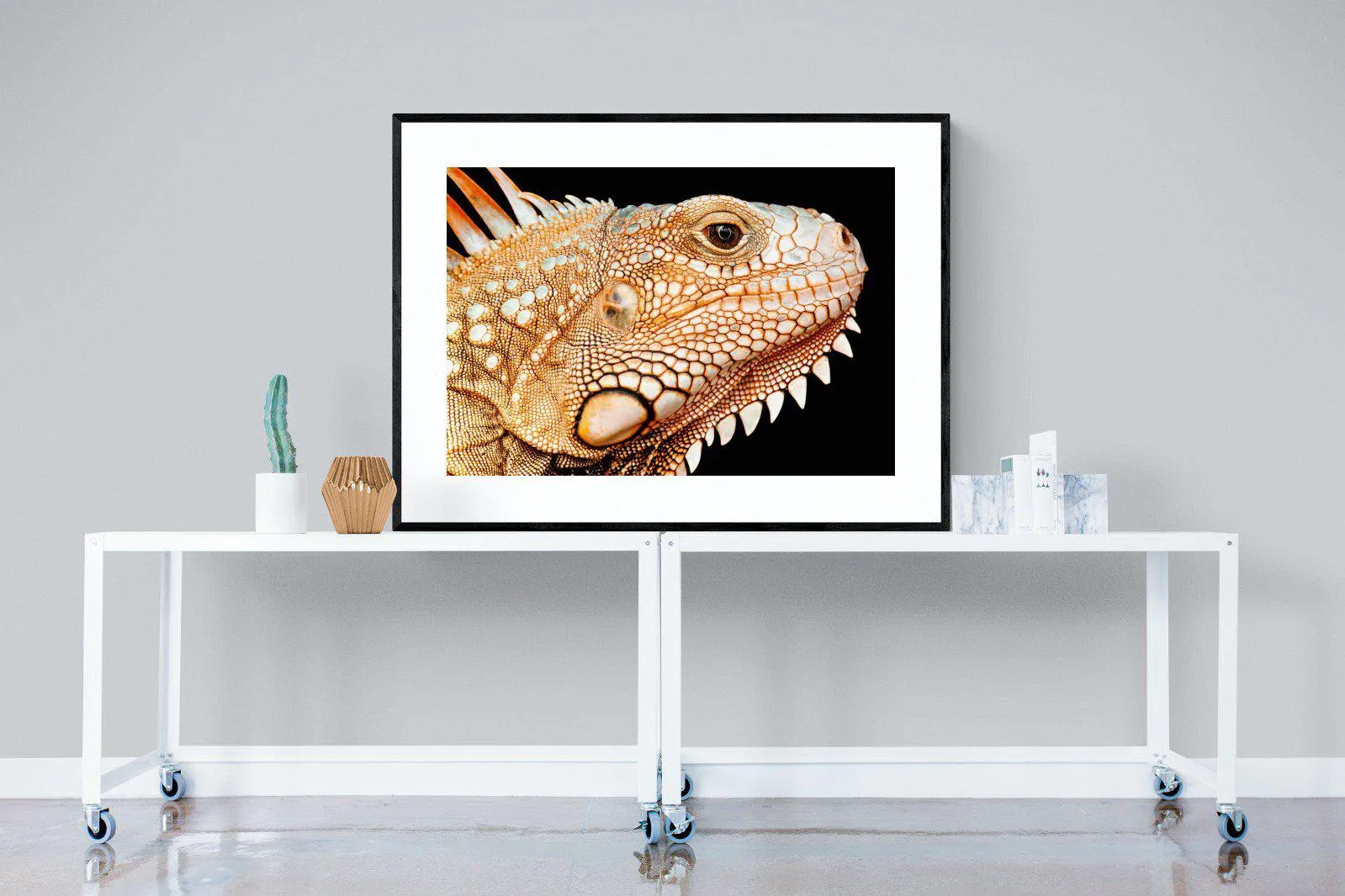 Bearded Dragon