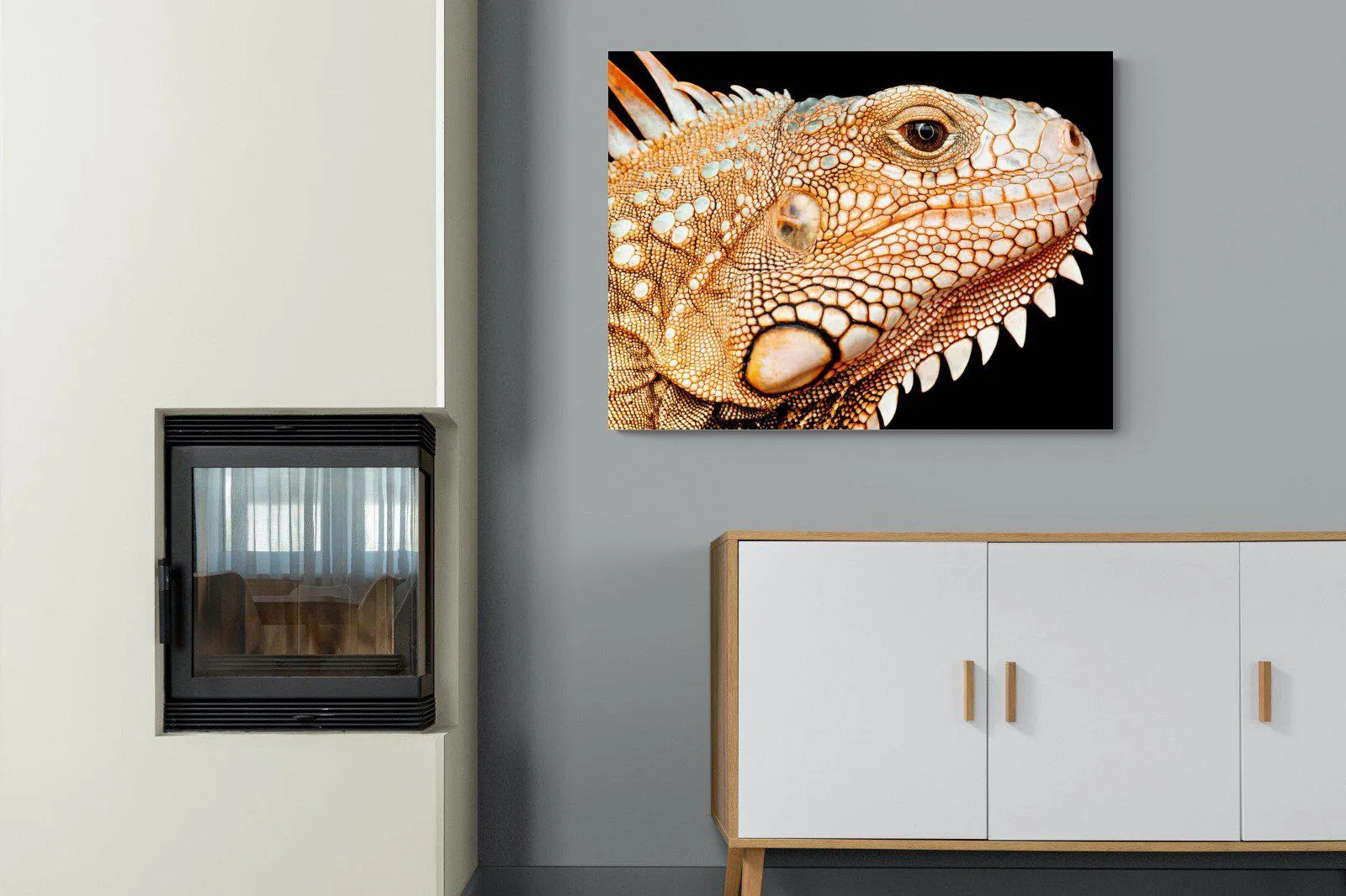 Bearded Dragon