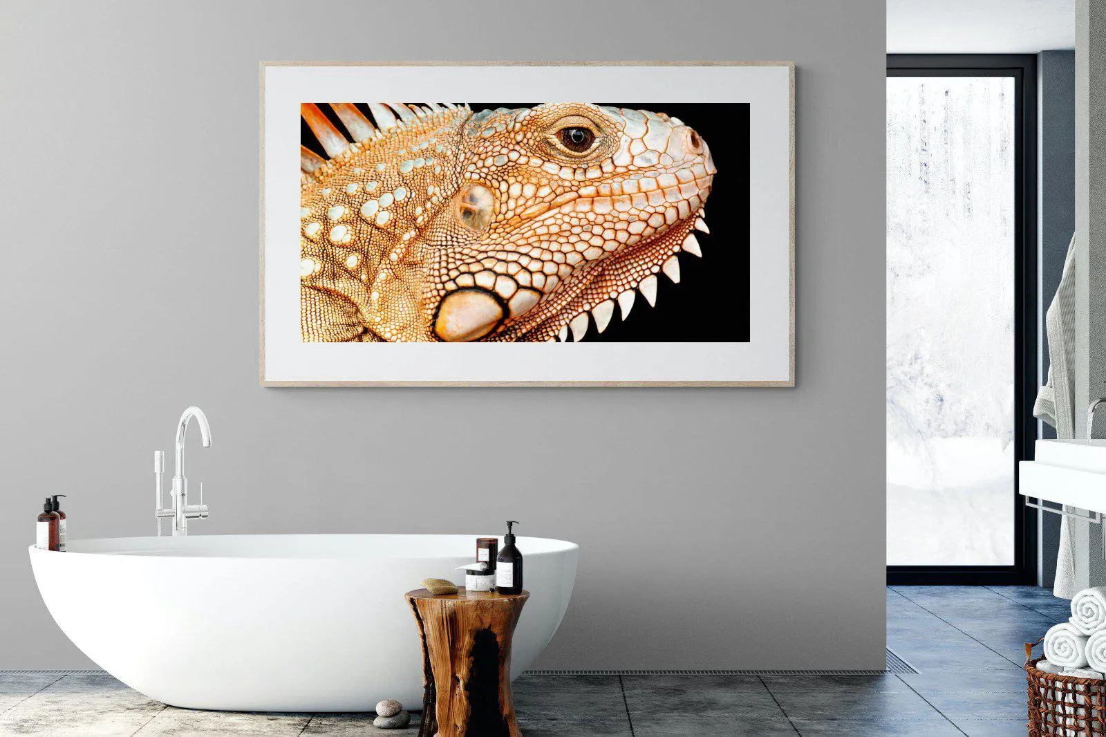 Bearded Dragon