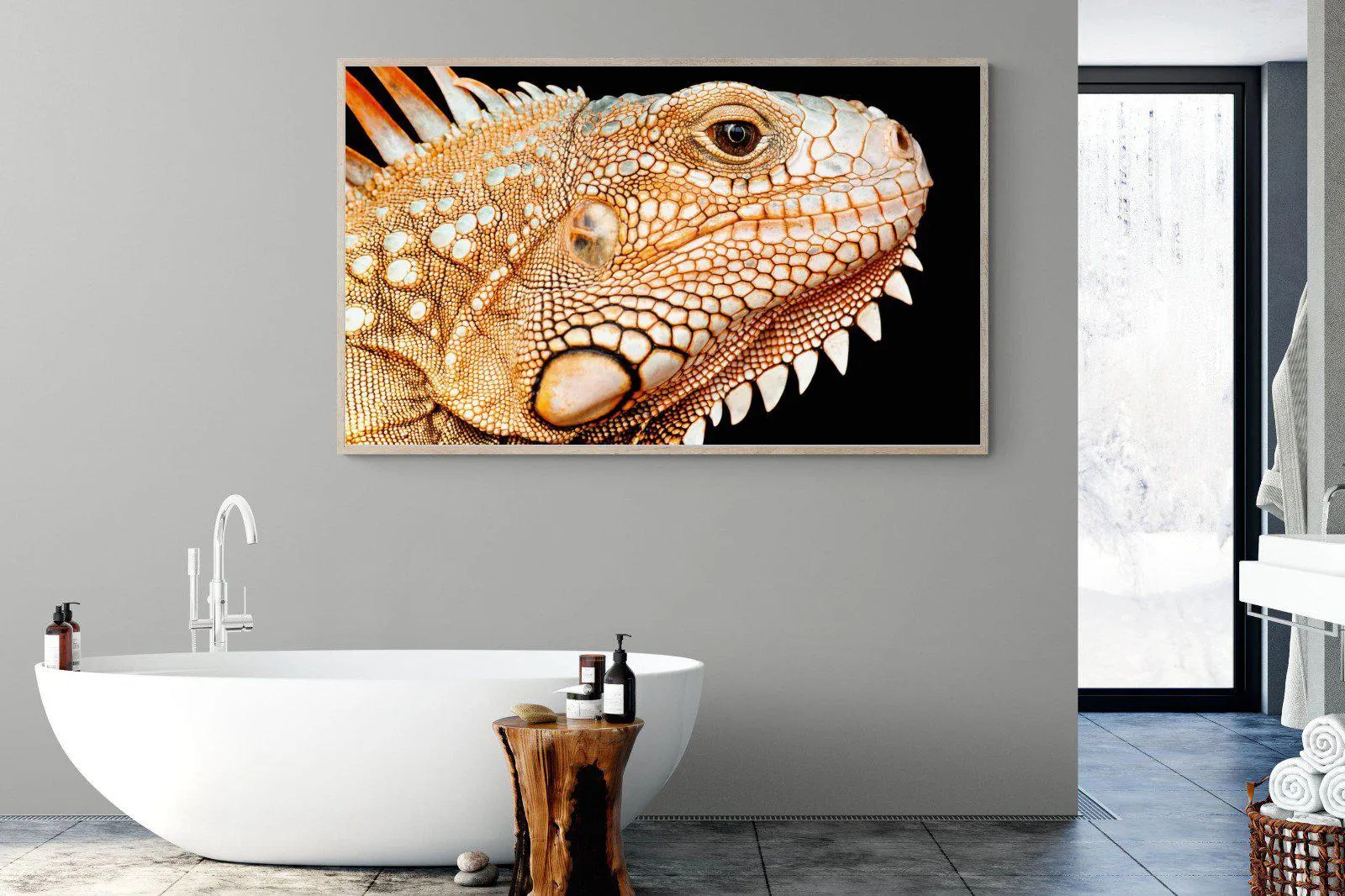 Bearded Dragon