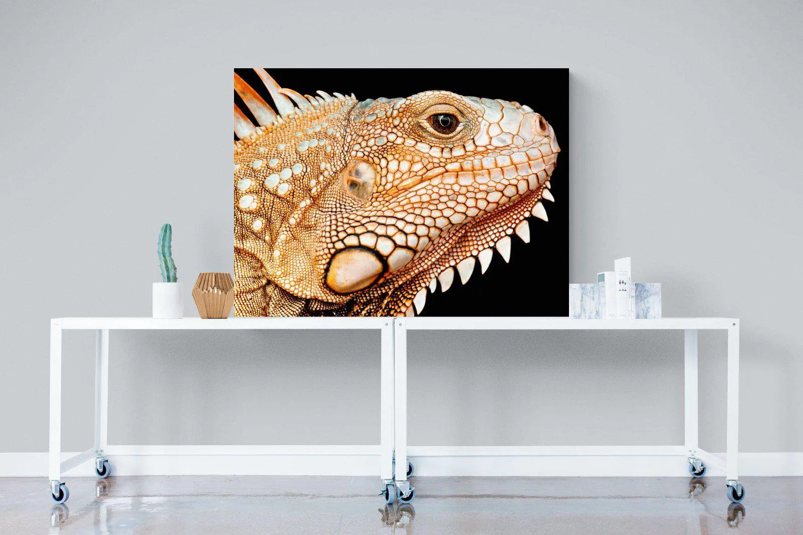 Bearded Dragon