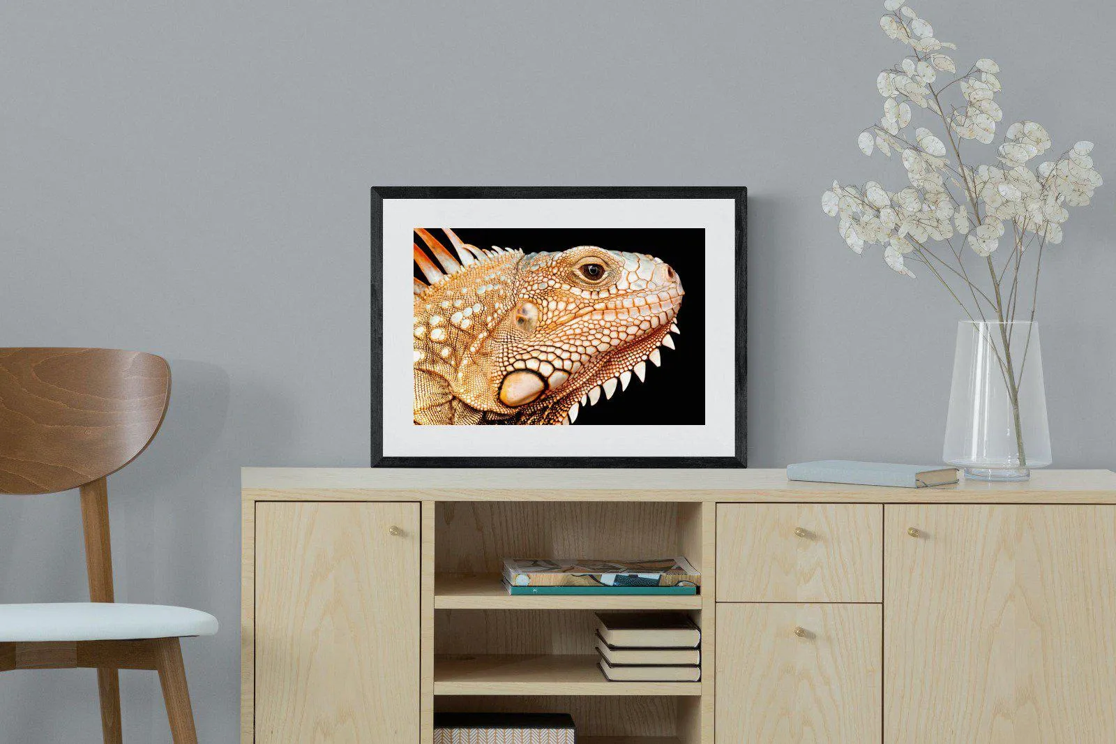 Bearded Dragon
