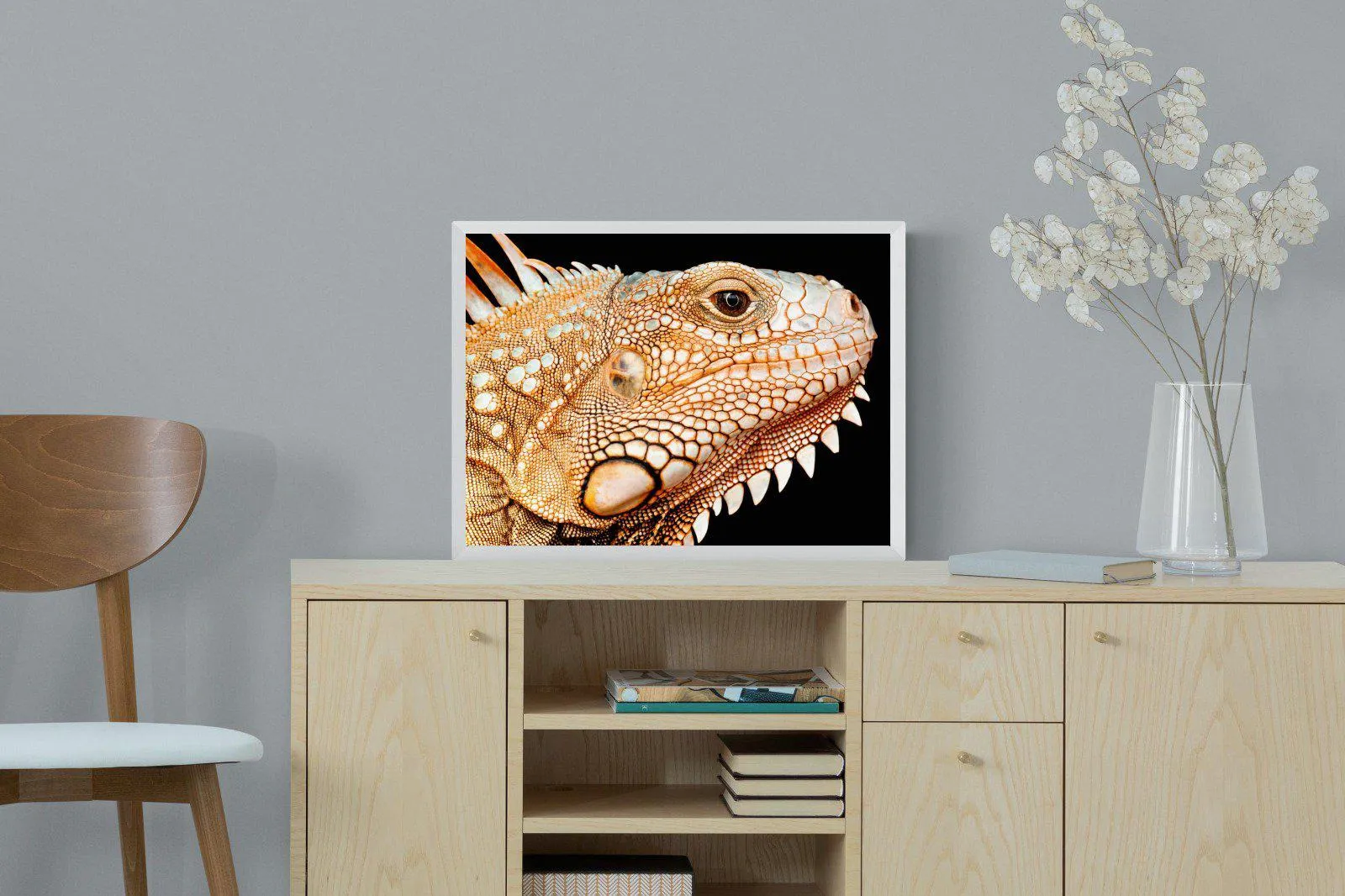 Bearded Dragon