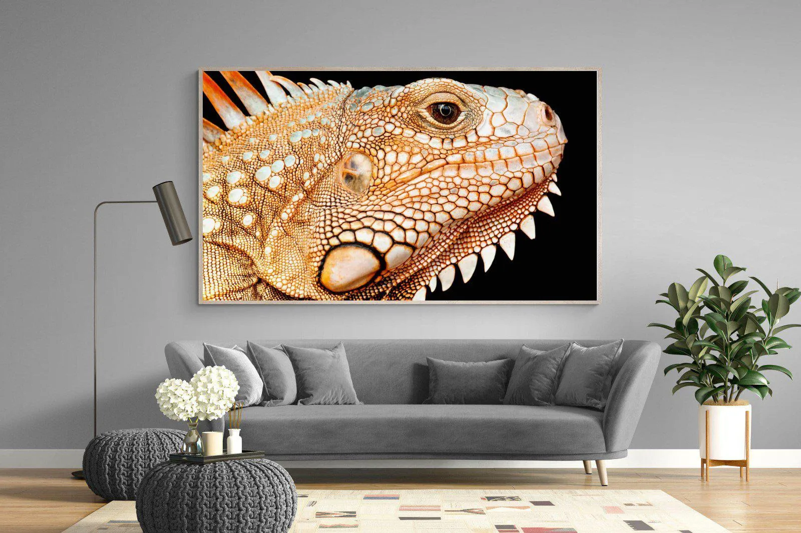 Bearded Dragon