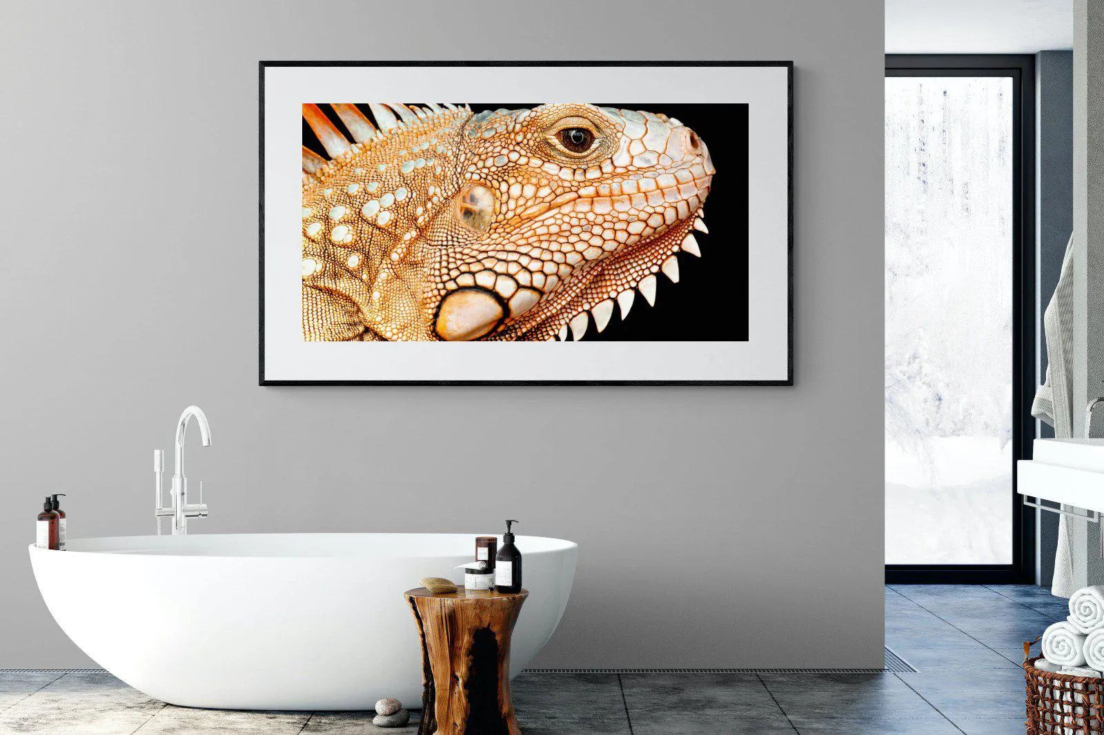 Bearded Dragon
