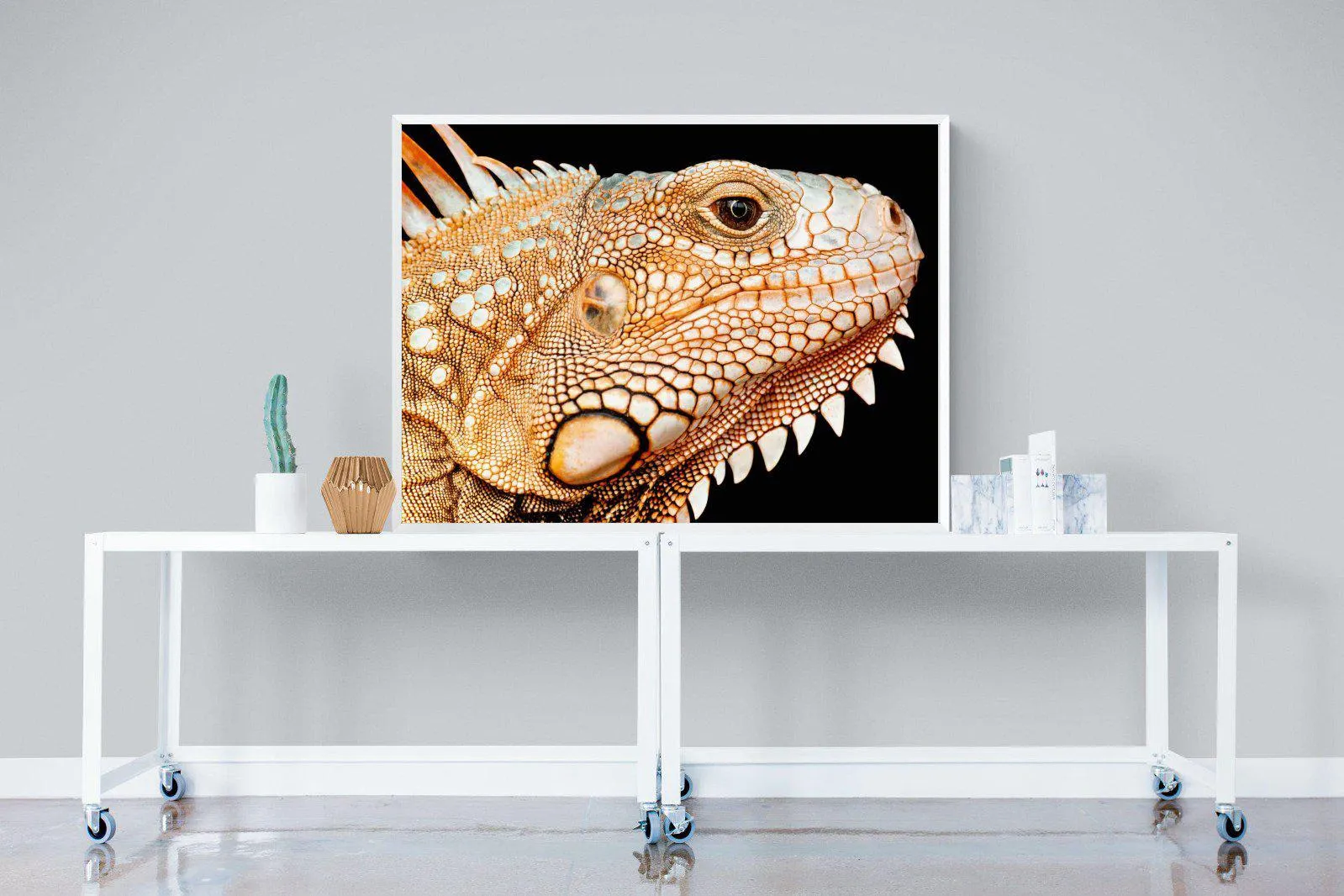 Bearded Dragon