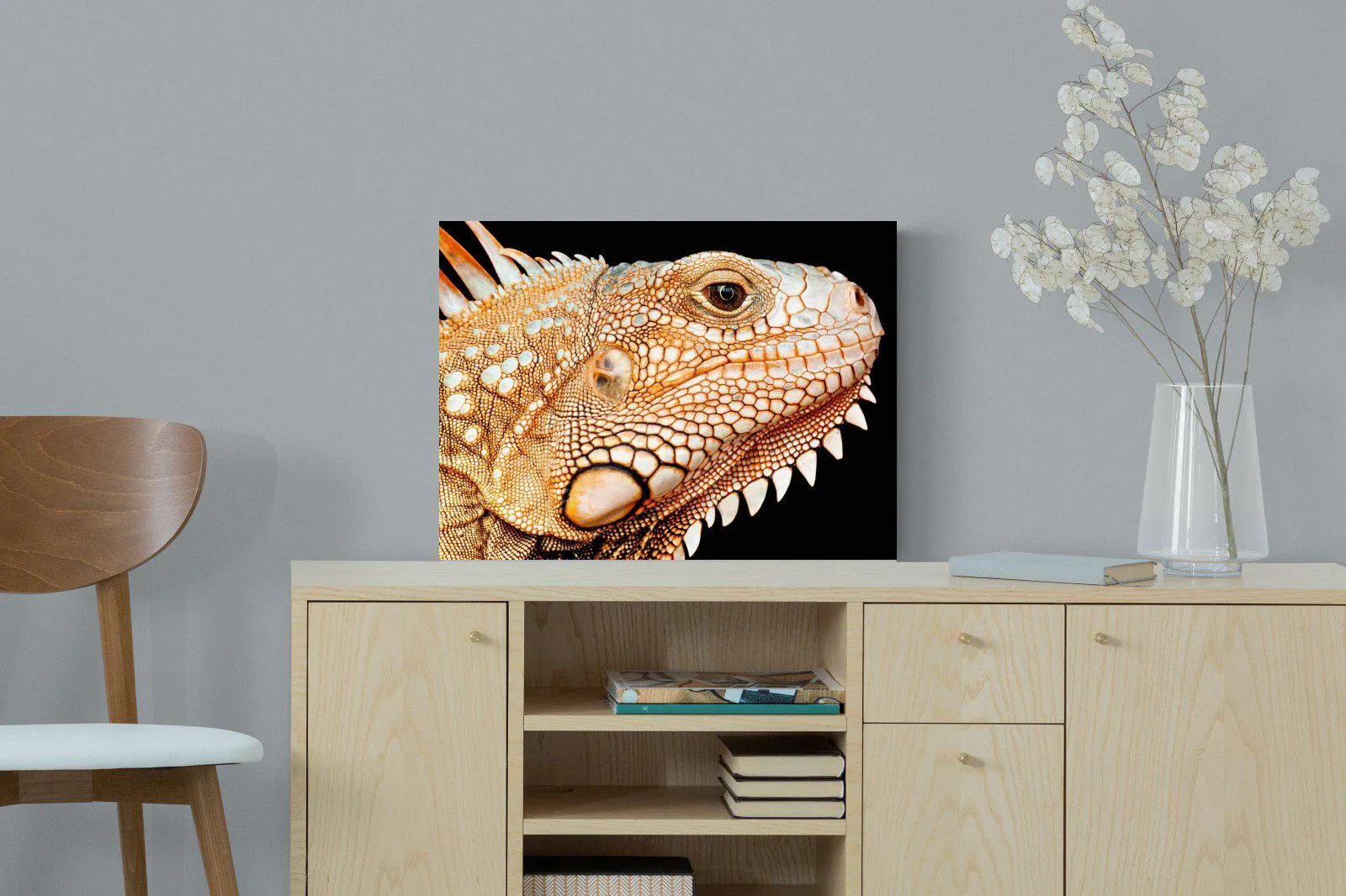 Bearded Dragon
