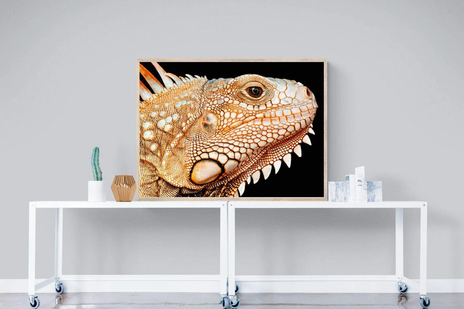 Bearded Dragon
