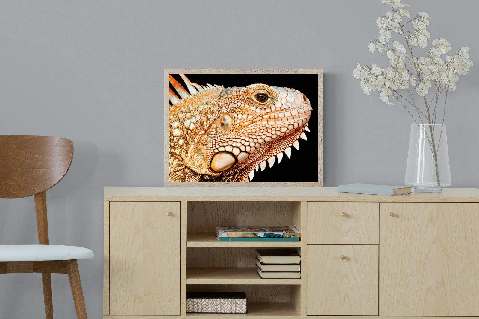 Bearded Dragon