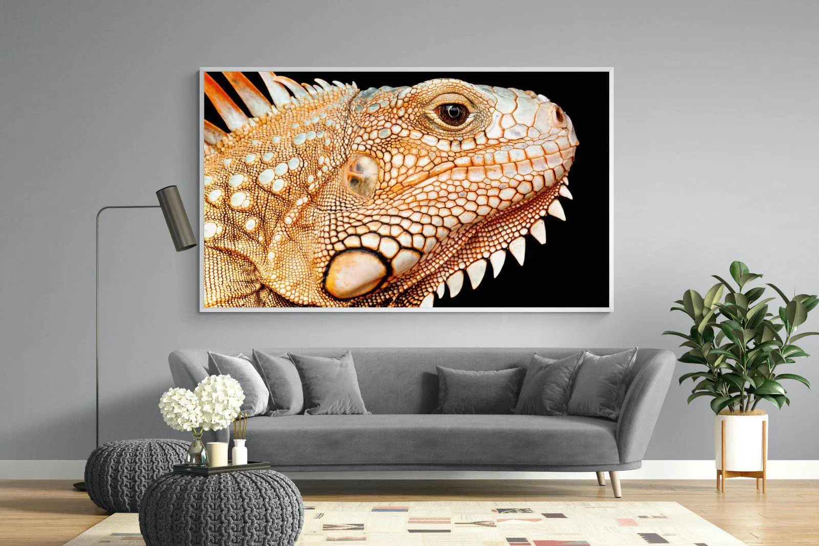 Bearded Dragon