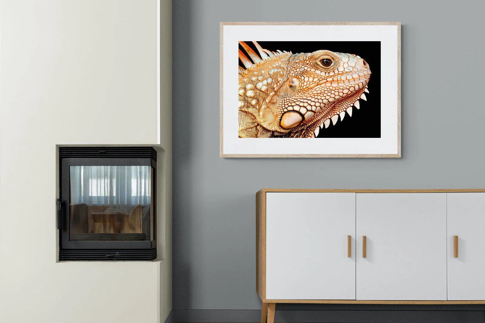 Bearded Dragon