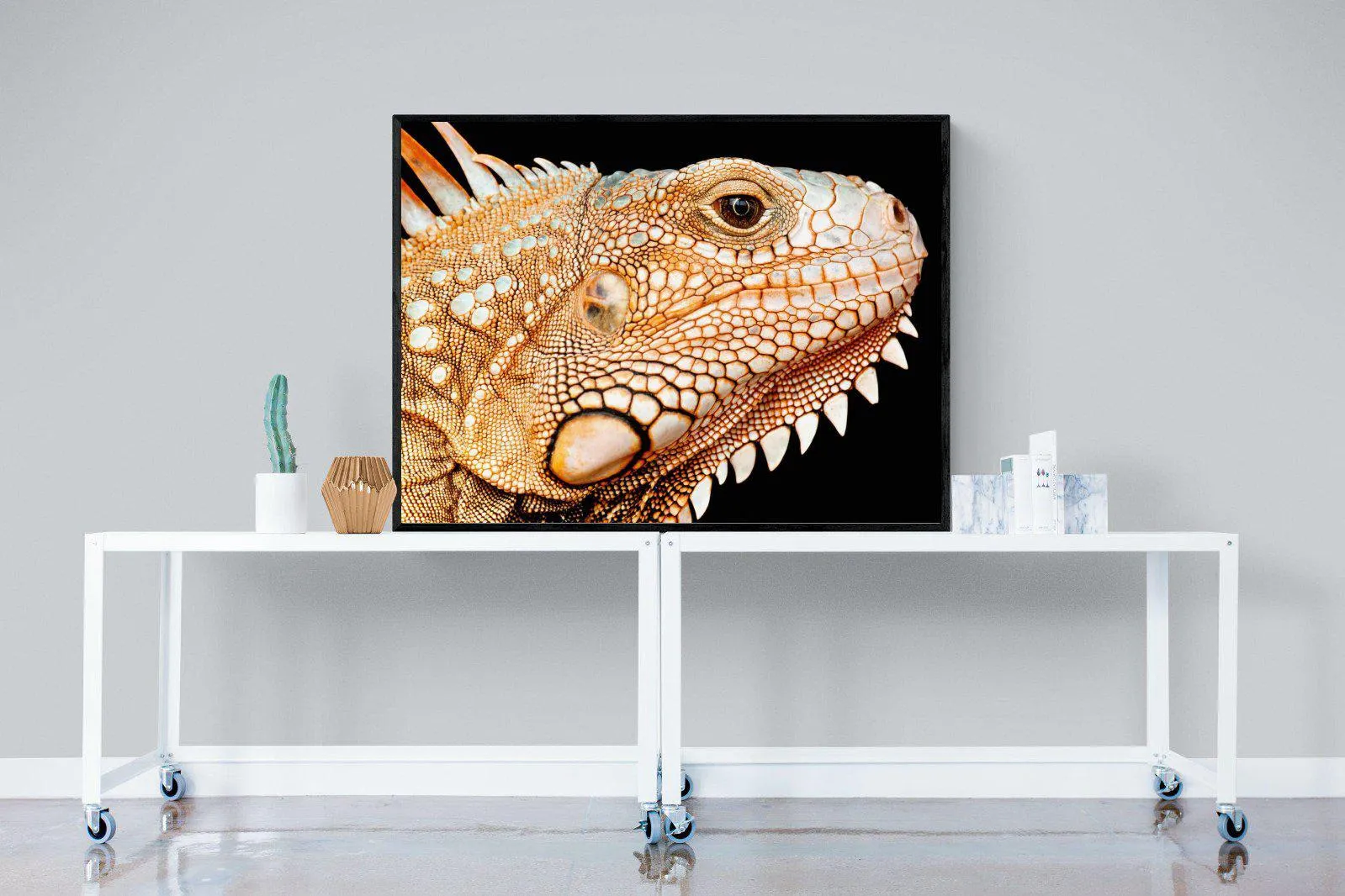 Bearded Dragon