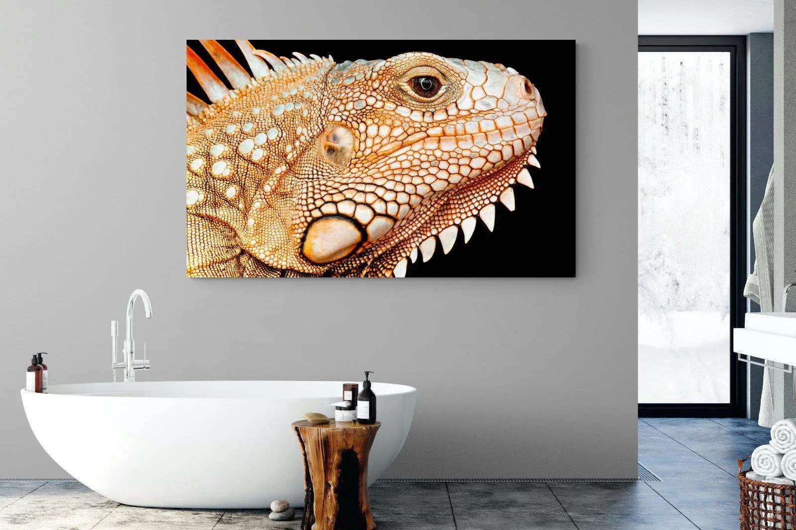 Bearded Dragon