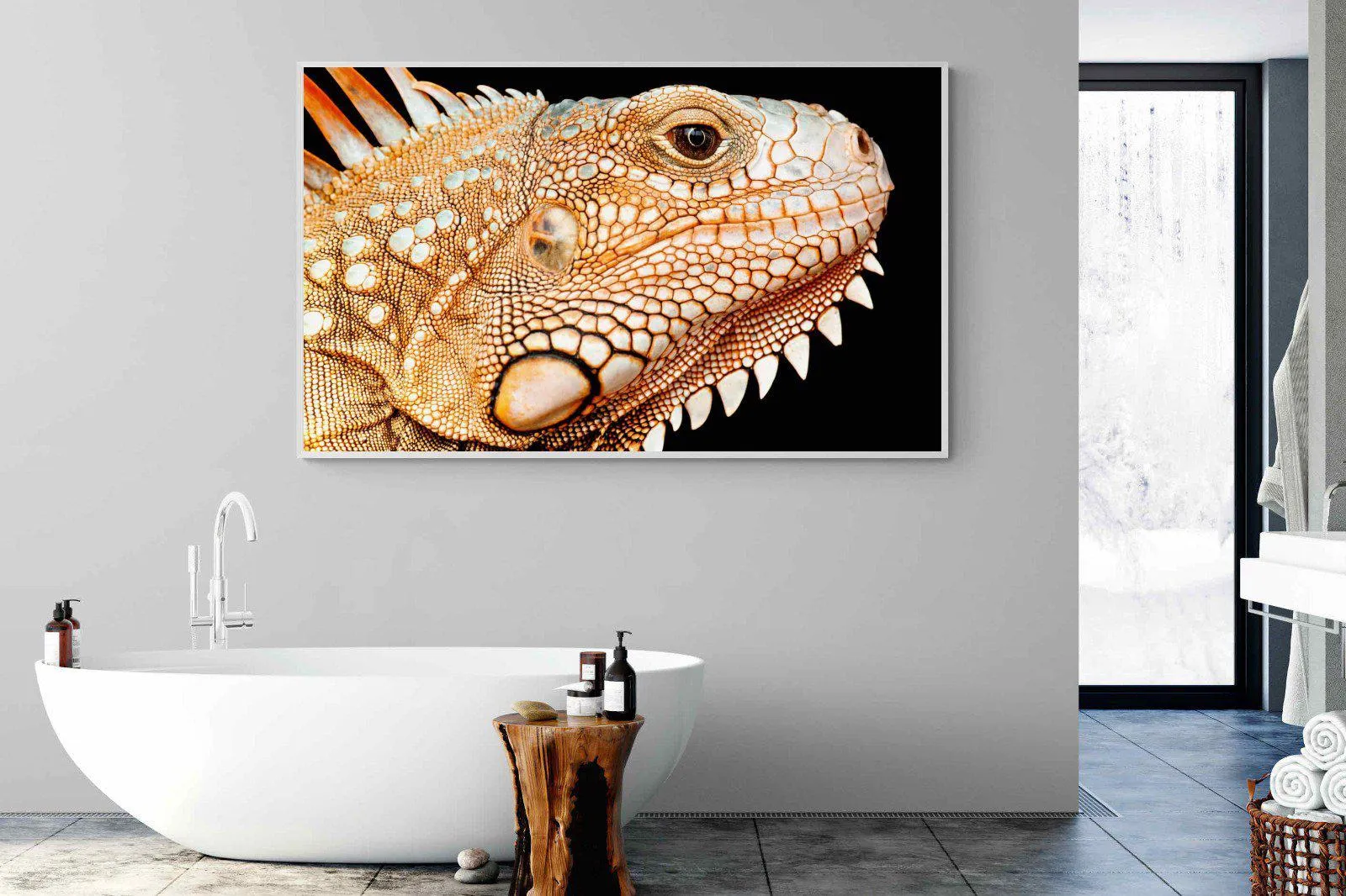Bearded Dragon