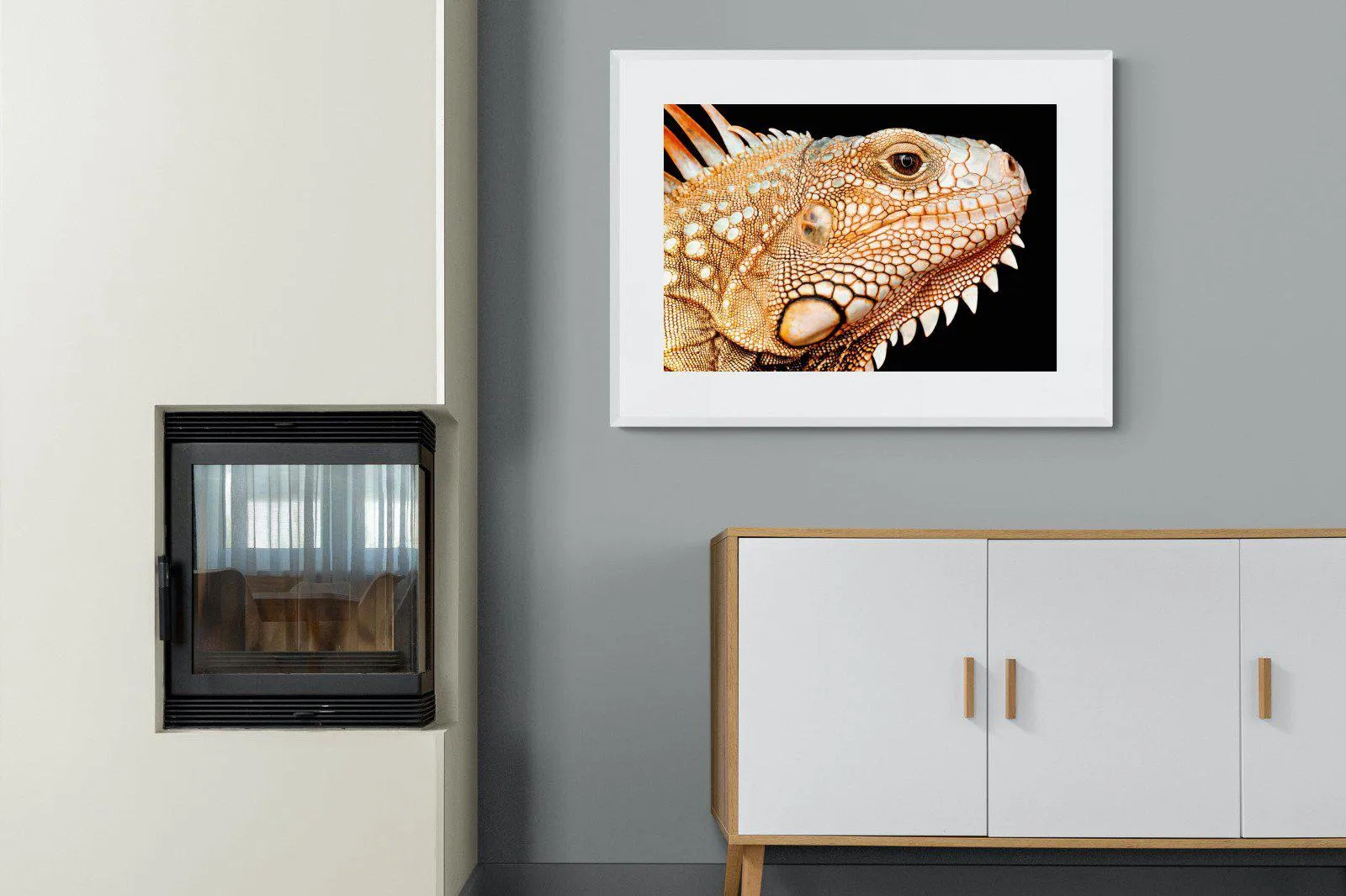 Bearded Dragon