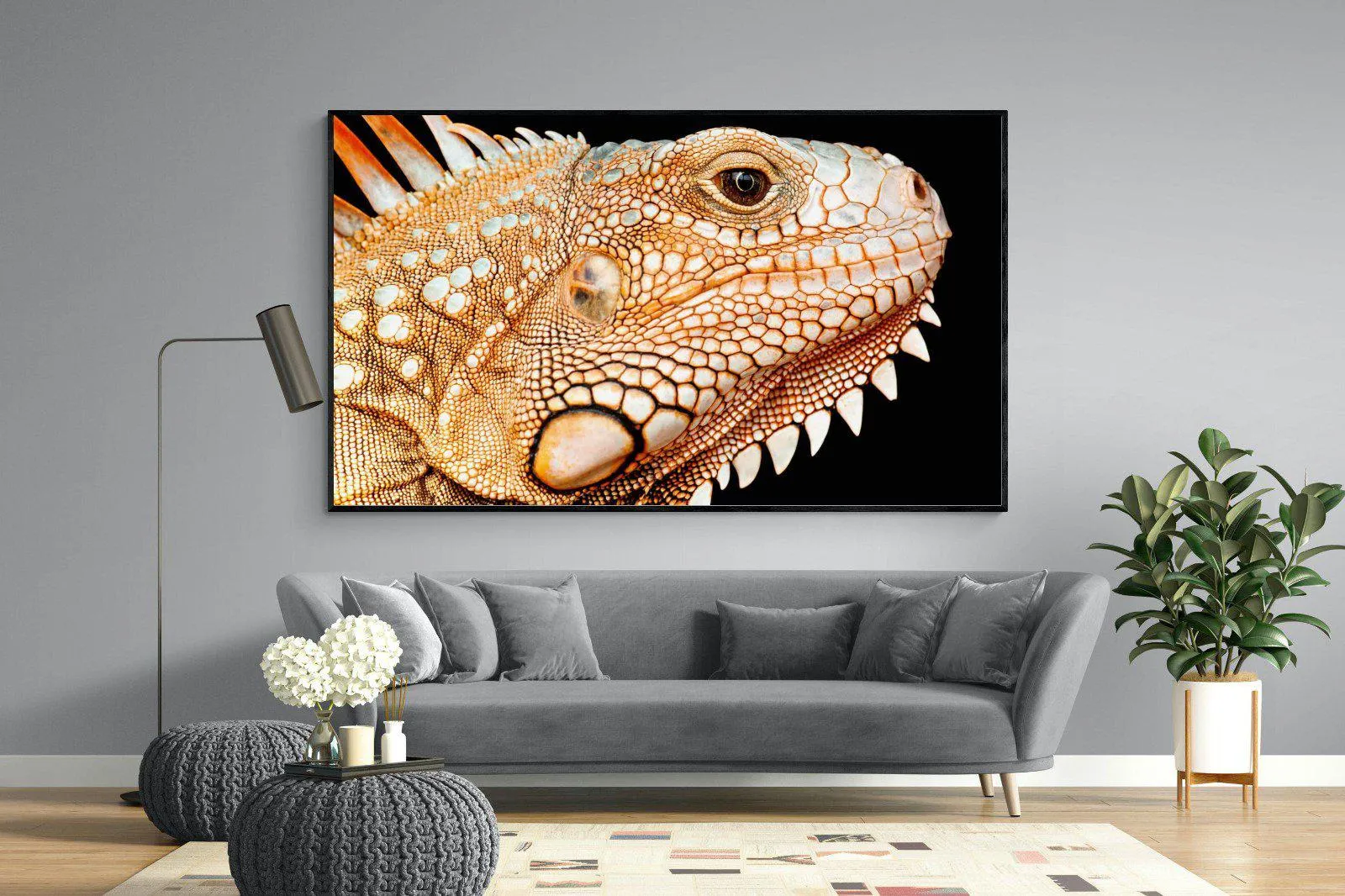 Bearded Dragon