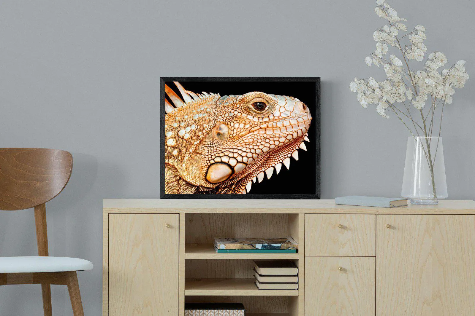 Bearded Dragon