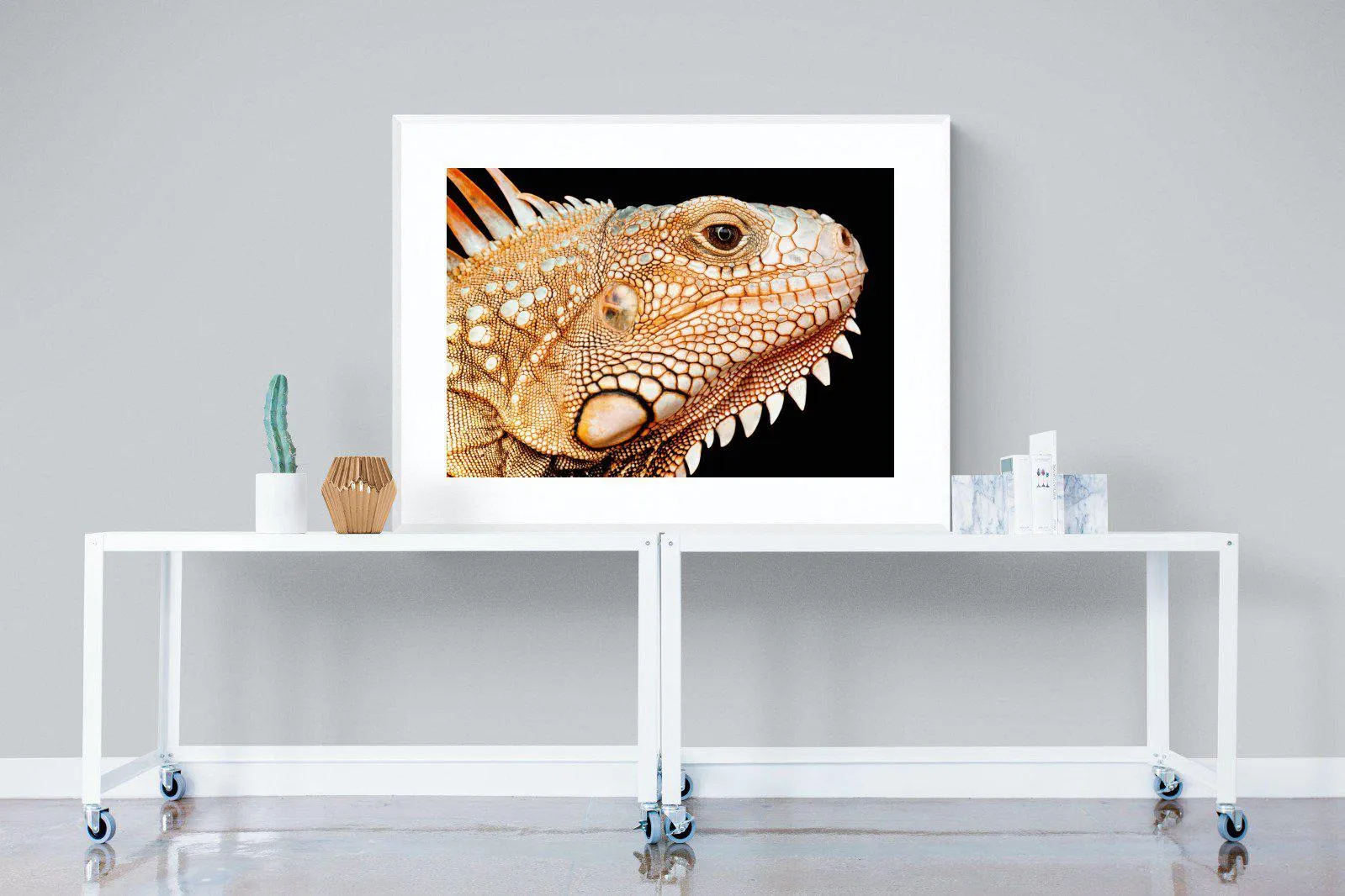 Bearded Dragon