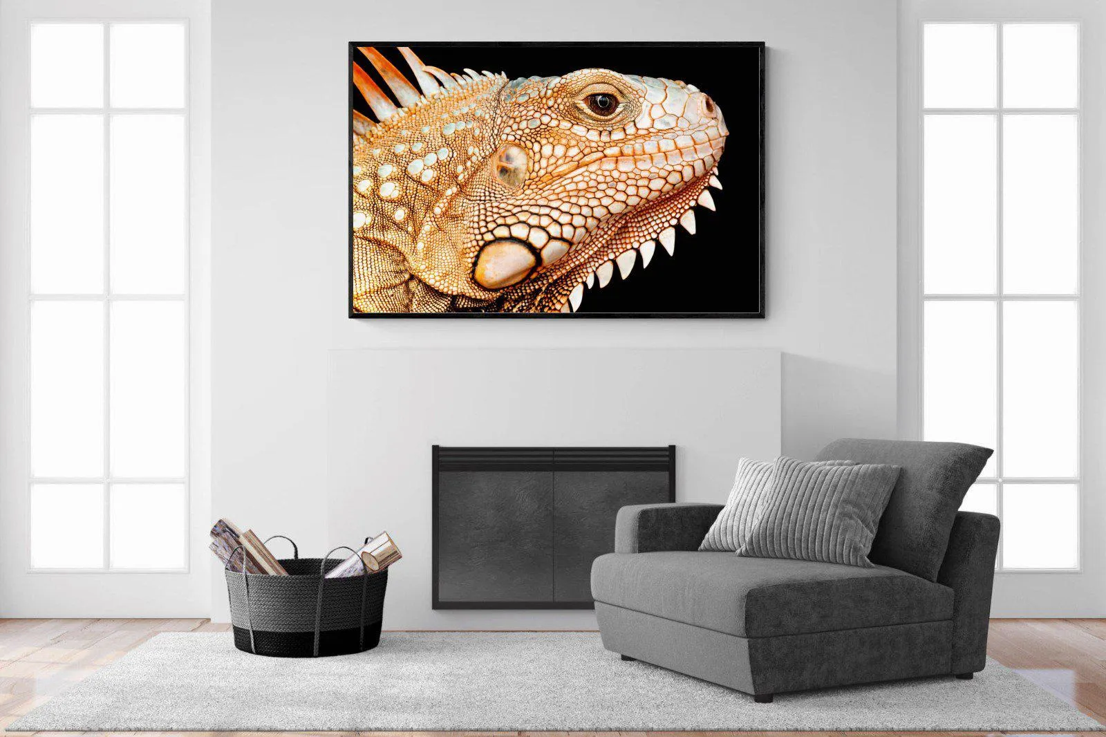 Bearded Dragon