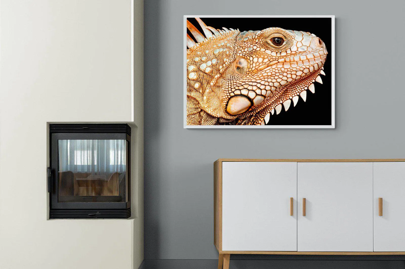 Bearded Dragon