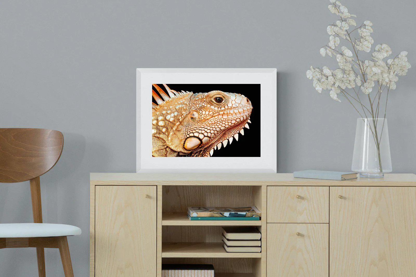 Bearded Dragon