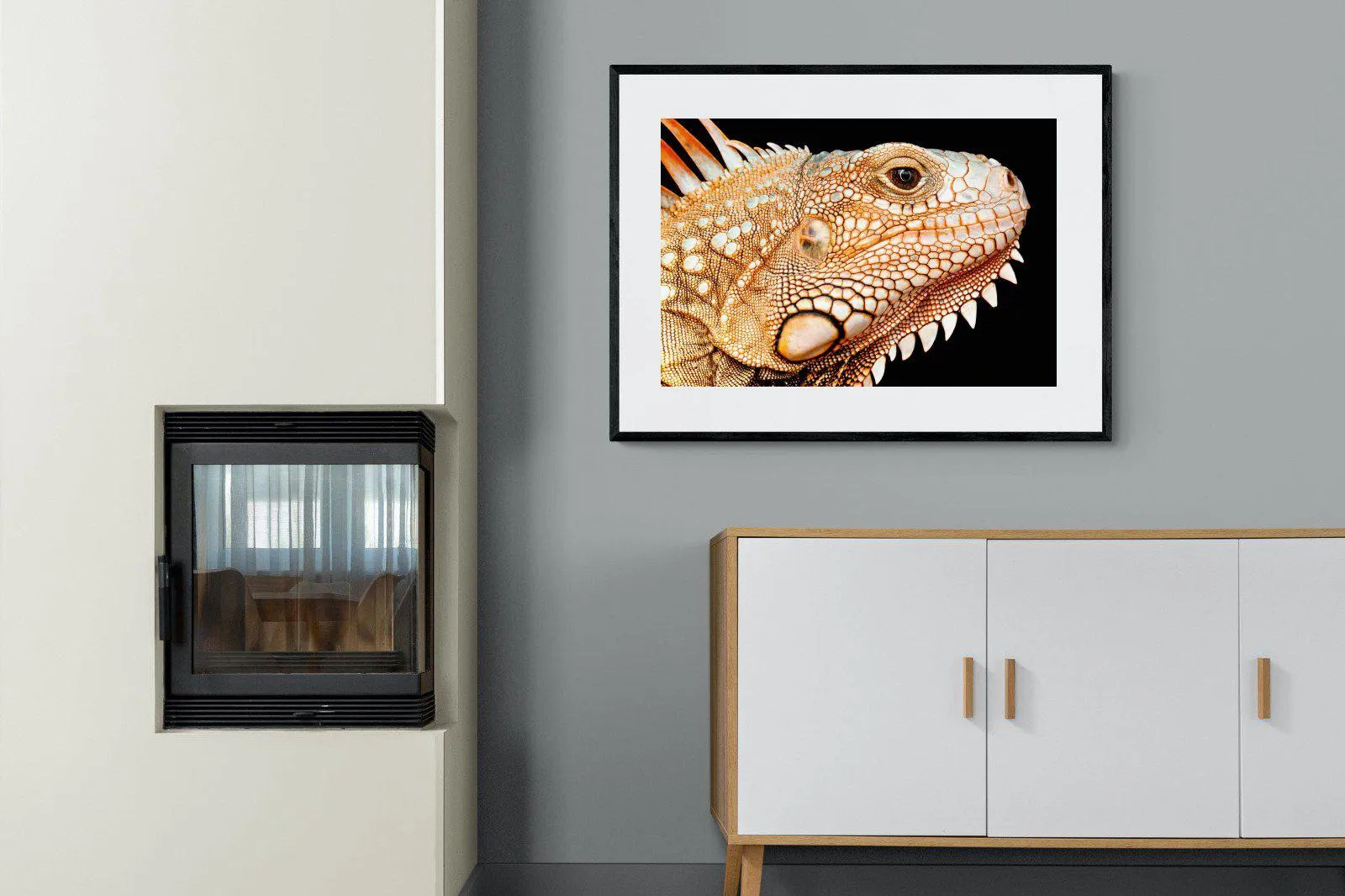 Bearded Dragon