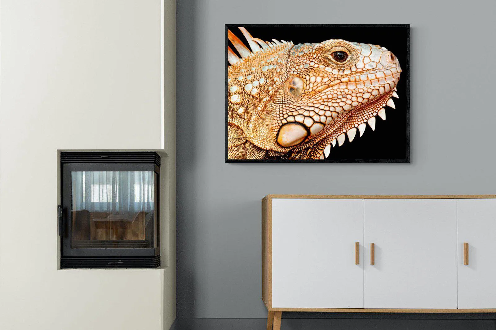 Bearded Dragon
