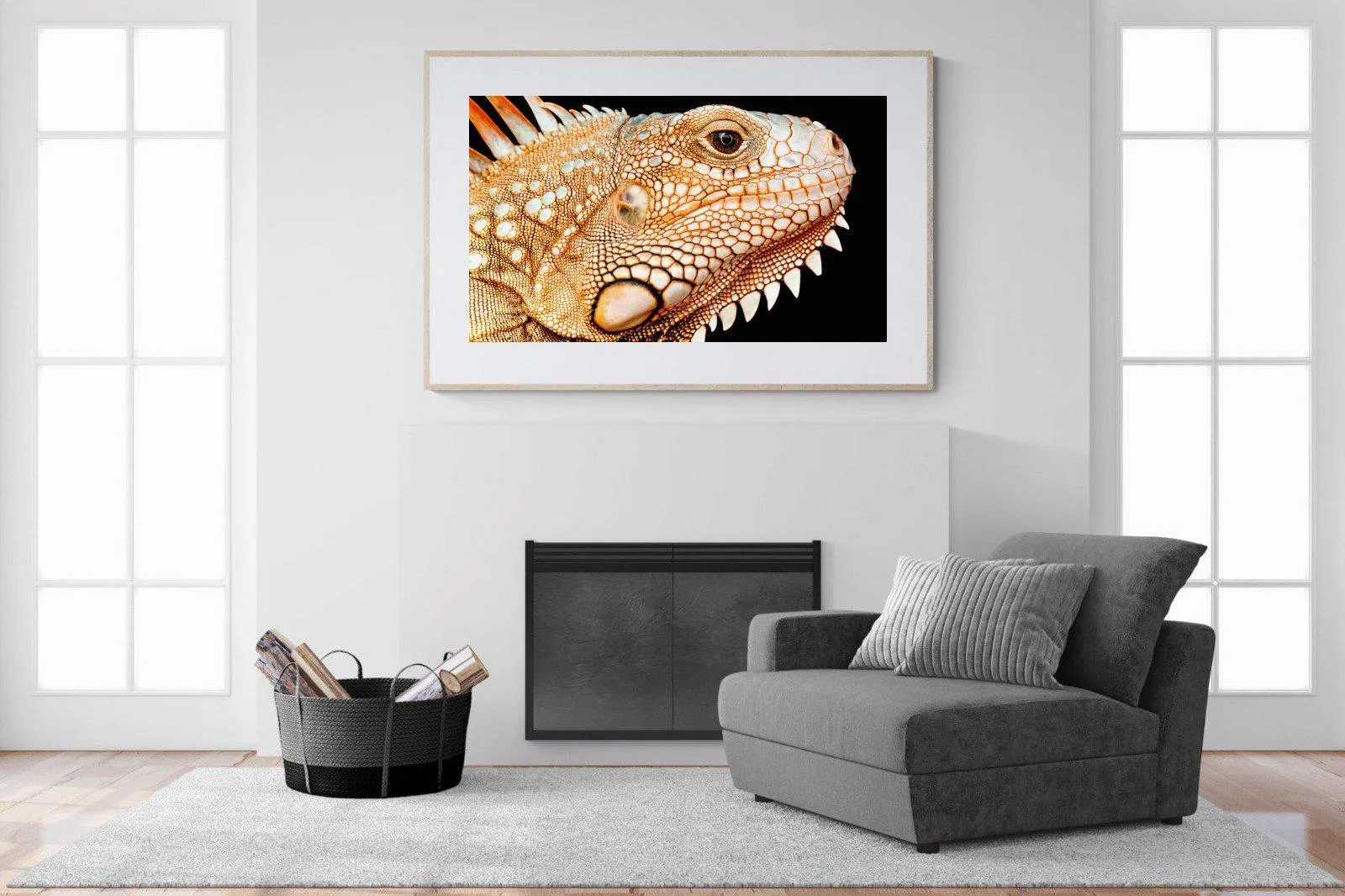 Bearded Dragon