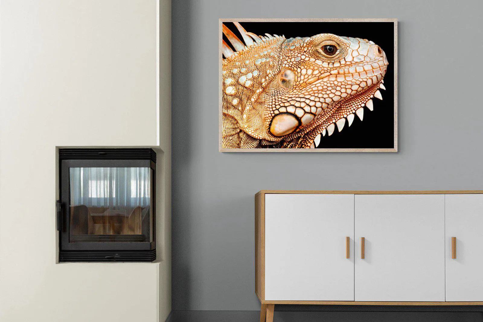 Bearded Dragon