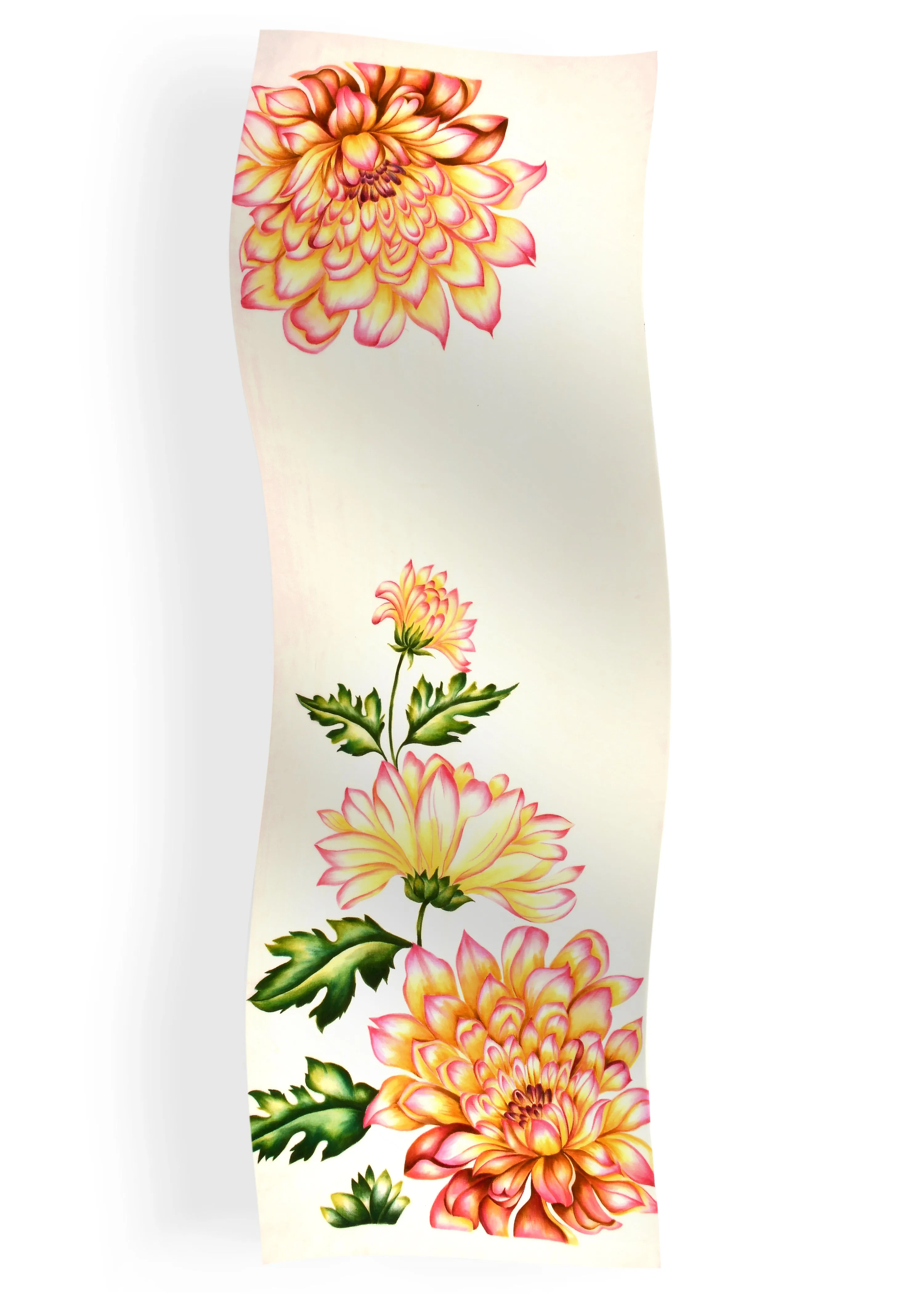 Dahlia Art in Cashmere