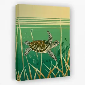 Daydreaming Turtle