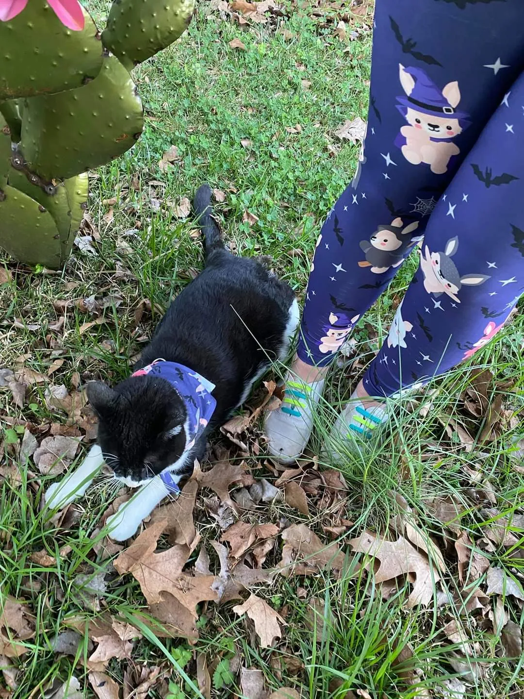 Easterween (Exclusive) - High-quality Handcrafted Vibrant Leggings
