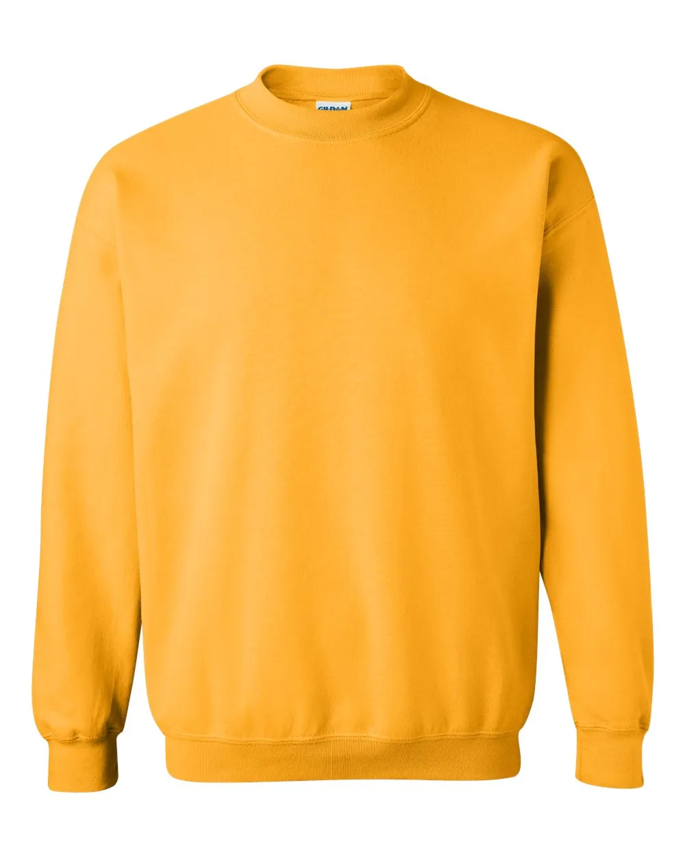 Line Drawing Lions SWIFTS Sweatshirt/Long Sleeve