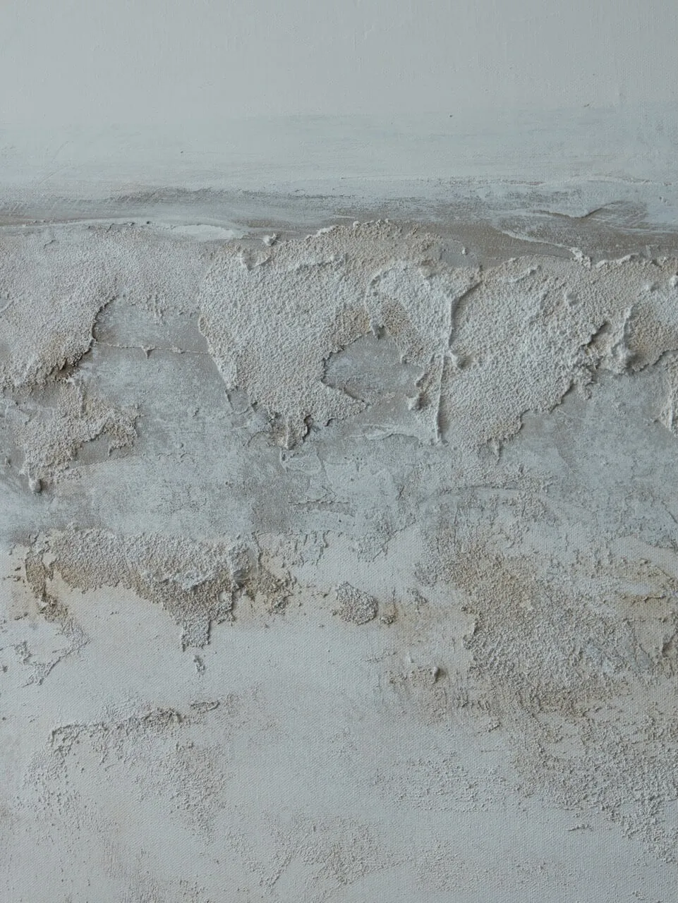Neve Wall Art