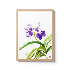 Vanda Sansai Orchid